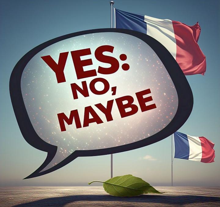 Changing Views: How the French Public’s Opinion on Direct Democracy Has Shifted